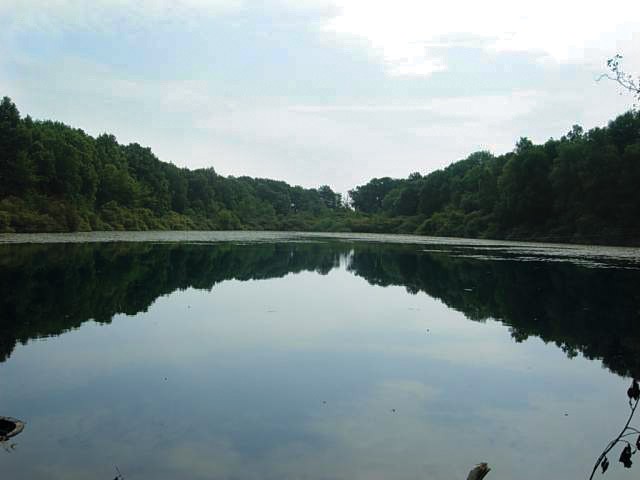 Etang A Vendre Dans L Allier Proprietes Etangs A Vendre Com