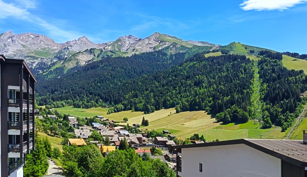 IMG_20260707_140951